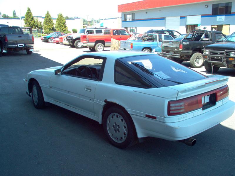 steves%20supra3%20(Medium).JPG